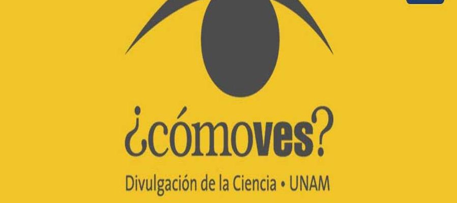 Arma tu ¿Cómo ves?