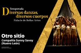 Compañía Sunny Savoy - Otro sitio