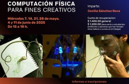 Imagen muestra de la actividad Computación física