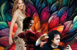 Imagen muestra de la actividad Concierto de guitarra y danza