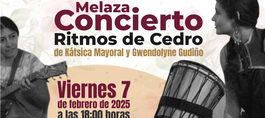 Melaza Concierto