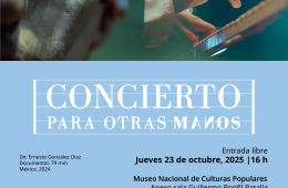 Imagen muestra de la actividad Concierto para otras manos
