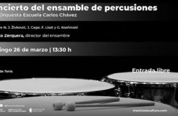 Imagen muestra de la actividad: Concierto del Ensamble de Percusiones de la OECCh