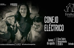 Imagen muestra de la actividad Conejo Eléctrico