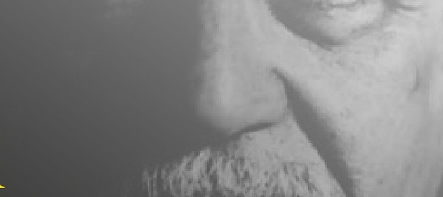 Conmemoración de Gabriel García Márquez