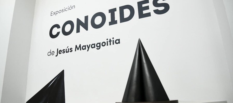 Conoides