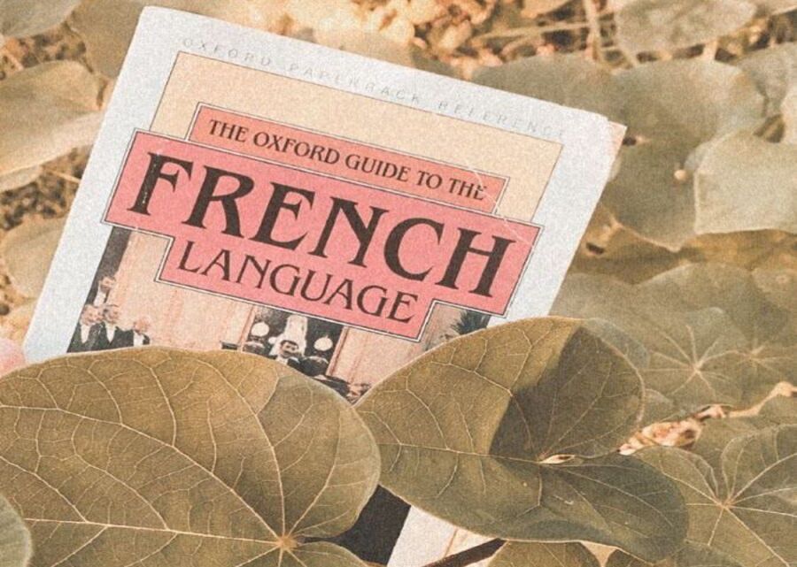 Imagen muestra de la actividad Conversaciones en francés