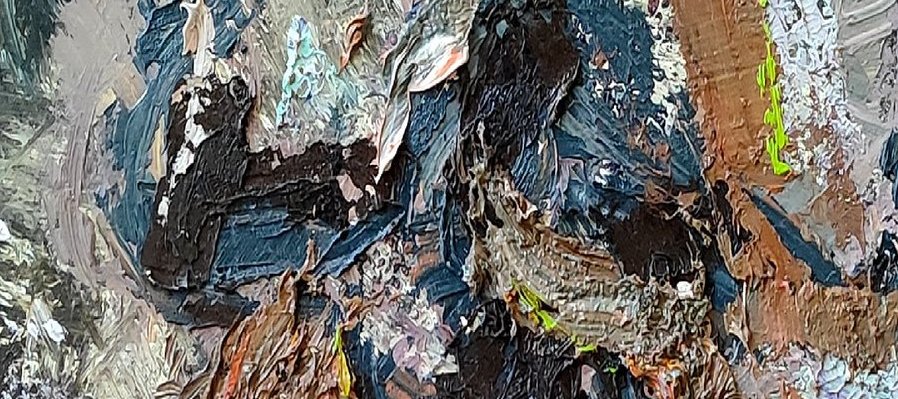 El desaire de la idea