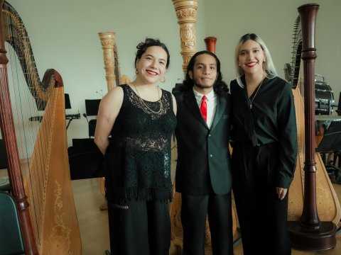 Concierto del Ensamble de arpas