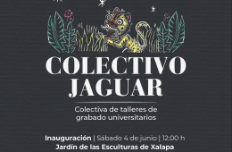 Colectivo Jaguar