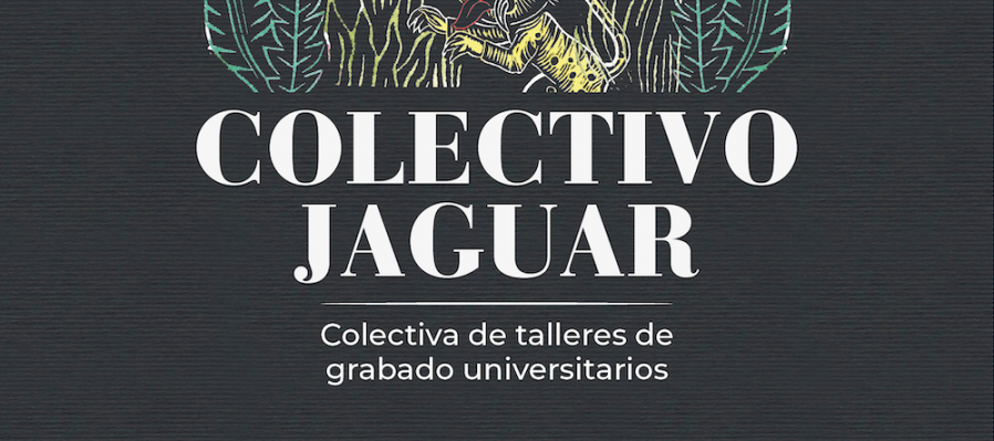 Colectivo Jaguar