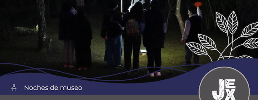 Recorridos nocturnos en el Jardín de las Esculturas