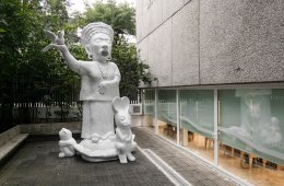 Imagen muestra de la actividad Coquín. Minerva Cuevas