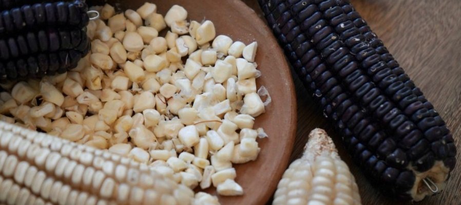 Corazón de maíz: Su proceso dramatúrgico