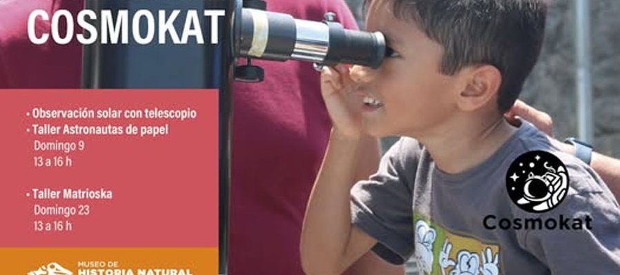 Taller matrioska