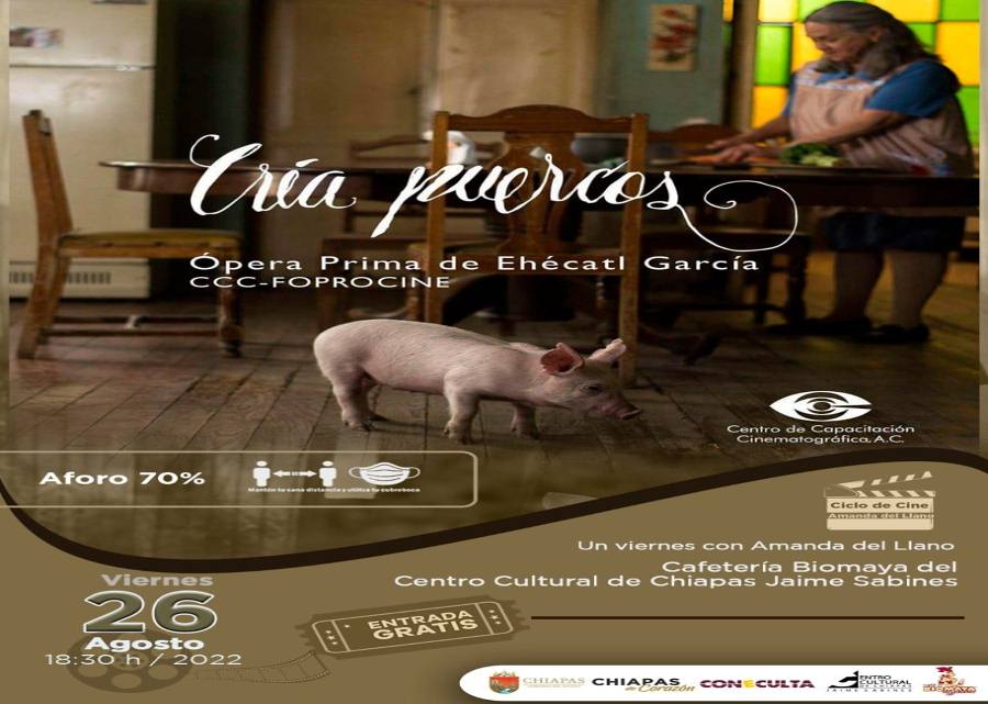 Cría Puercos Cría Puercos