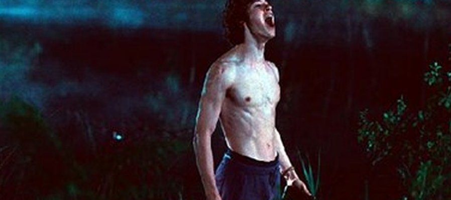 Criaturas asombrosas