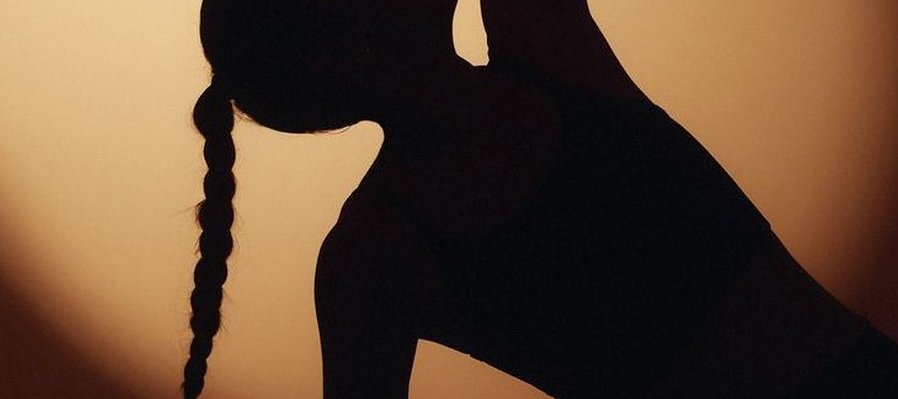 Cuerpo salvaje