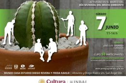 Cuidado de cactus y suculentas