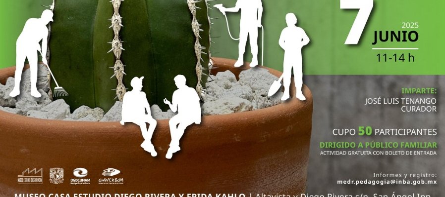 Cuidado de cactus y suculentas