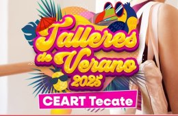 Imagen muestra de la actividad Cursos para docentes en formación de ballet