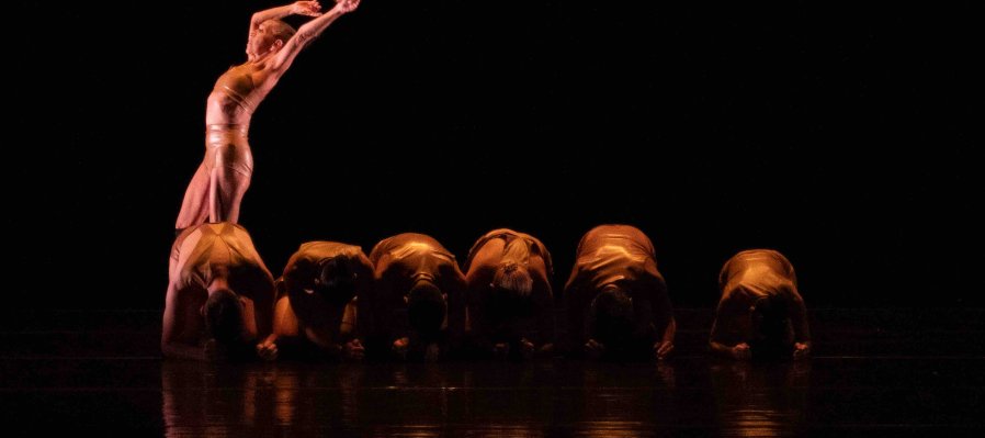 DanZoología. La Biodiversidad Animal en la Danza