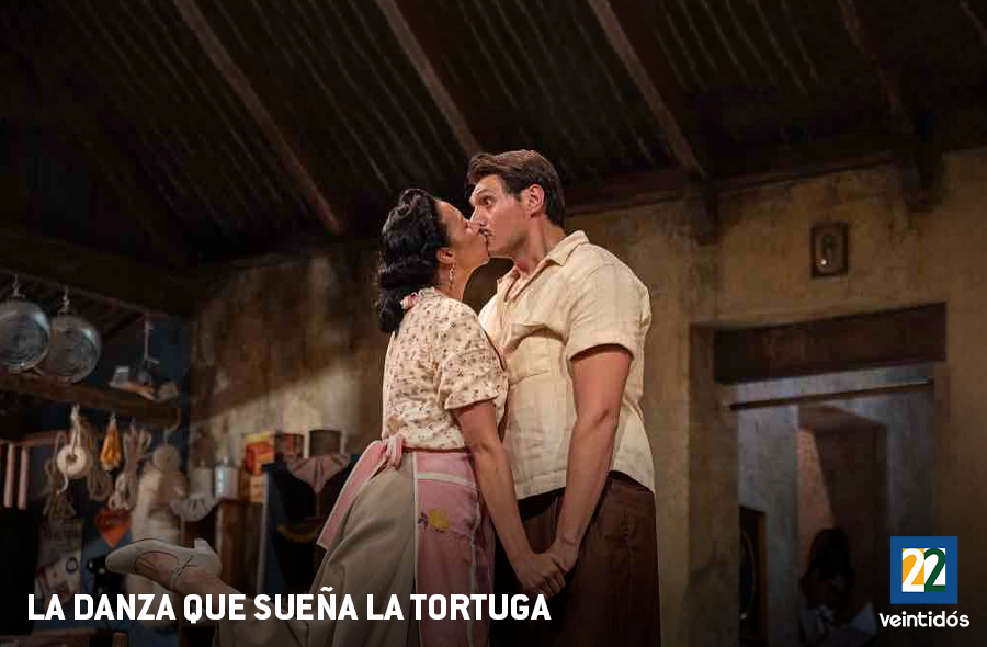 La danza que sueña la tortuga