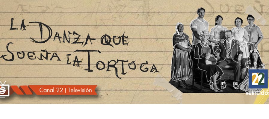 La danza que sueña la tortuga