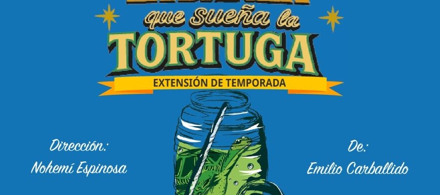 La danza que sueña la tortuga