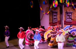 Imagen muestra de la actividad Danzantal