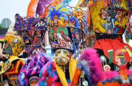 Imagen muestra de la actividad El color de las danzas morelenses