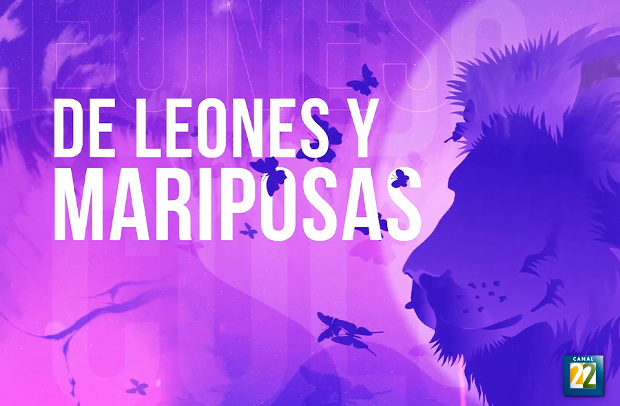 Imagen muestra de la actividad A todo color: De Leones y Mariposas