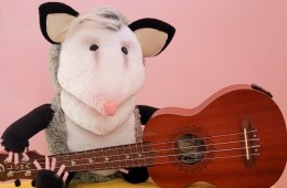 De tlacuaches, ratones y otros animales juguetones