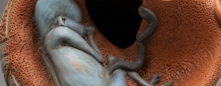 Del lienzo al barro. El bestiario onírico