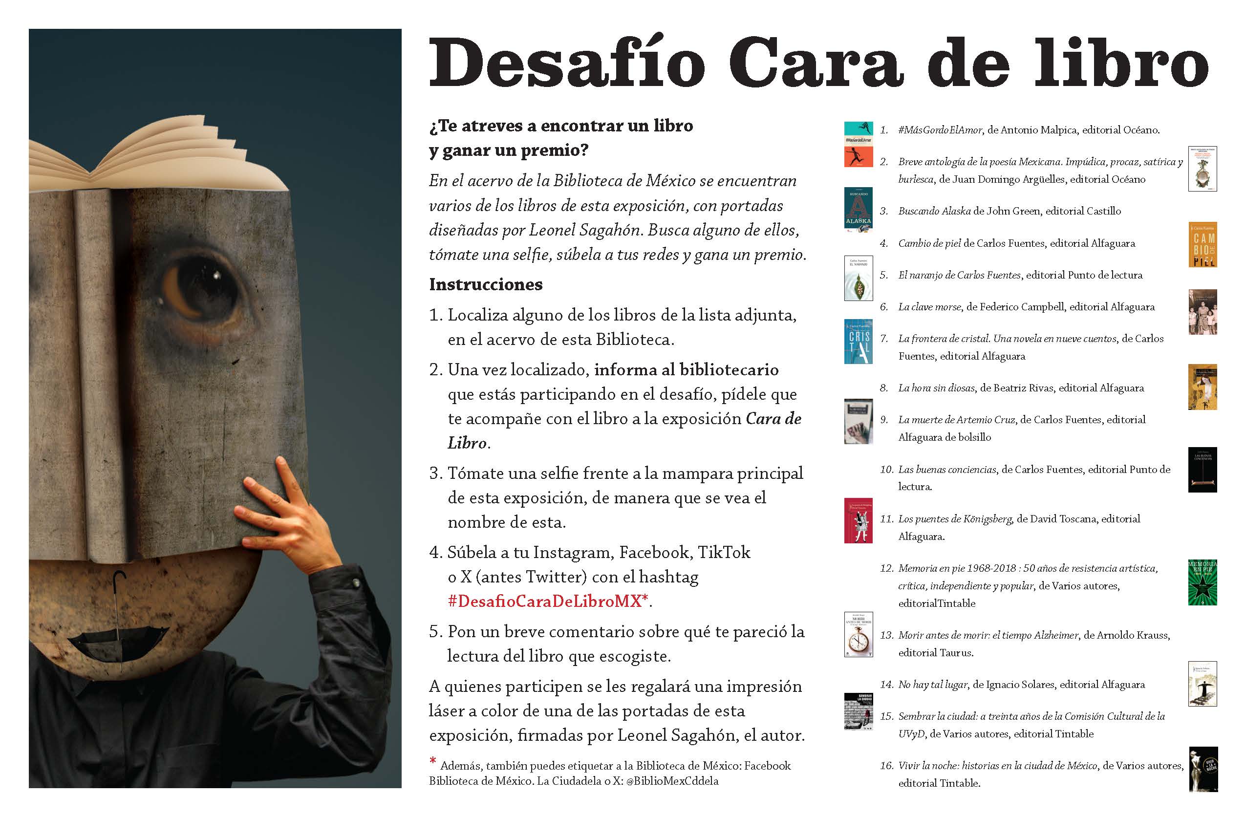 Imagen muestra de la actividad Desafío Cara de Libro