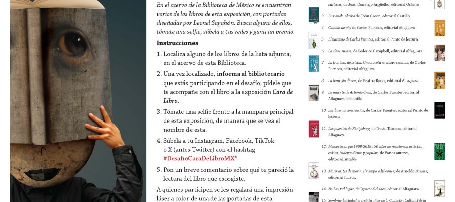 Desafío Cara de Libro