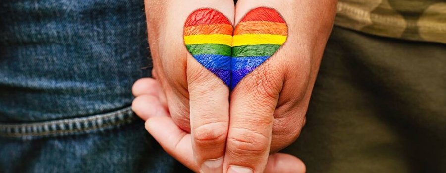 Los otros amores, diversidad sexual