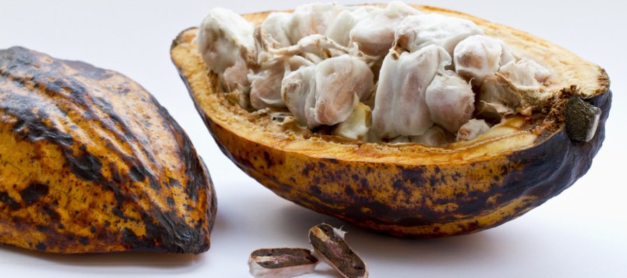 Detectives del trueque