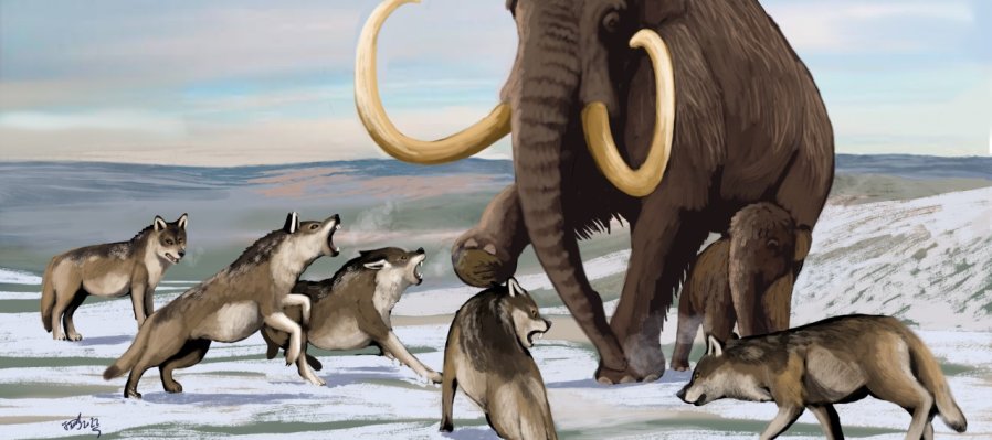 De la cecina de mamut a los lobos terribles