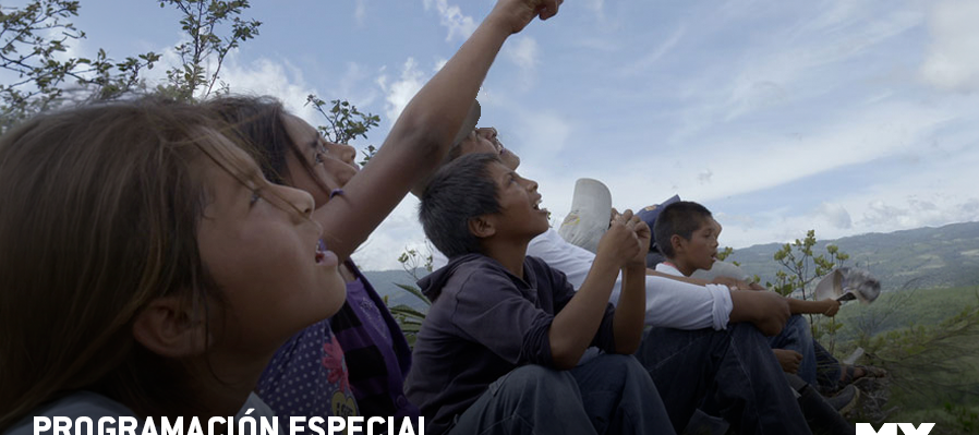 Programación especial por el Día del Maestro 2026