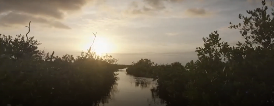 Por el Día Internacional de la Madre Tierra