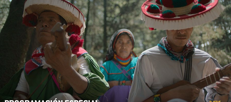 Programación especial Día Internacional de la Música