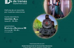 Imagen muestra de la actividad Día de trenes en Septiembre