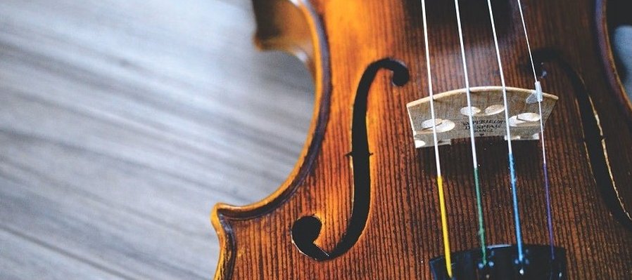 Día mundial de la viola