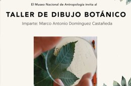Imagen muestra de la actividad Dibujo botánico
