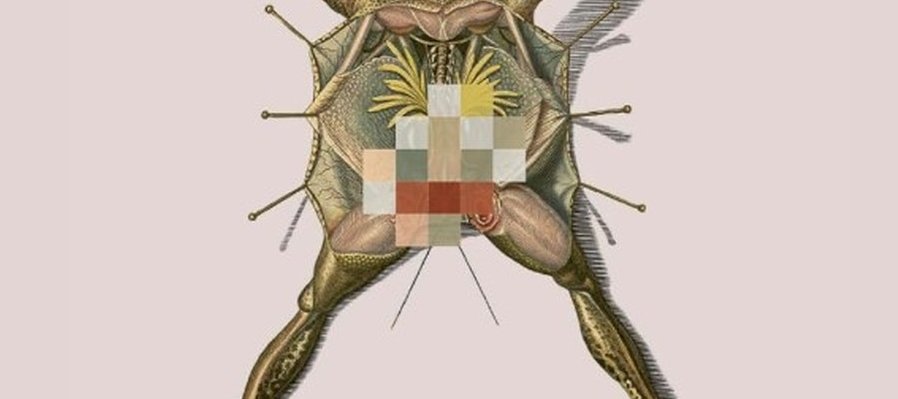 Dick o la tristeza del sexo