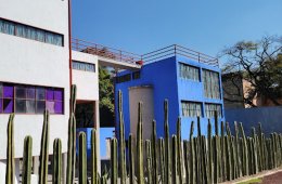 Imagen muestra de la actividad Museo Casa Estudio Diego Rivera y Frida Kahlo
