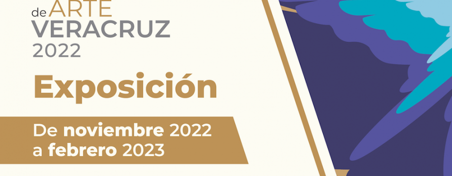 VI Bienal de Arte Veracruz