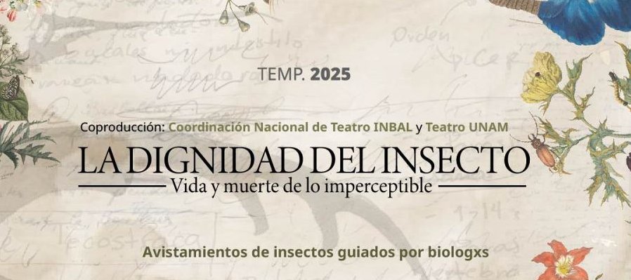 La dignidad del insecto: vida y muerte de lo imperceptible