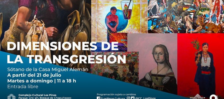 Dimensiones de la transgresión